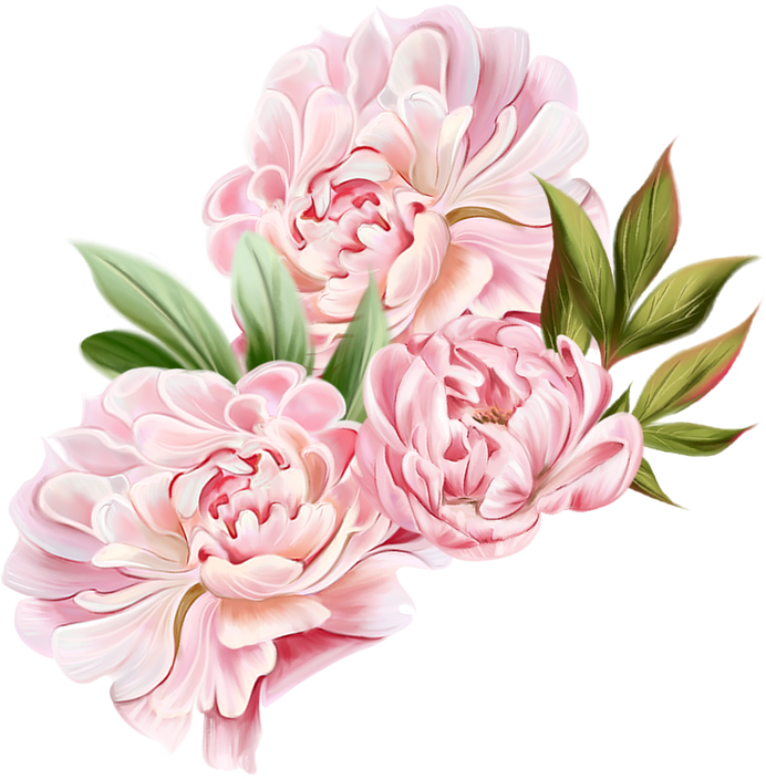 Watercolor blush peony.Floral arrangement clipart. wedding flowers frame